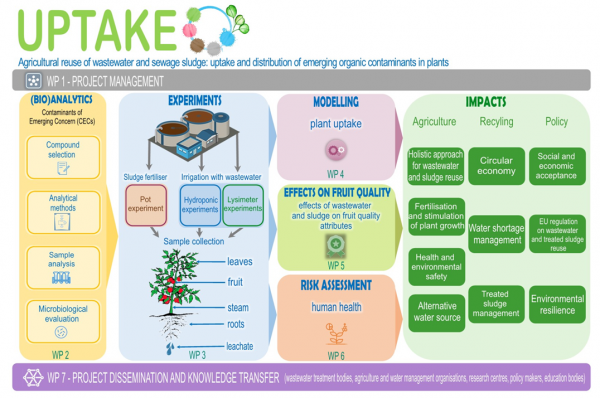 UPTAKE ingografika3