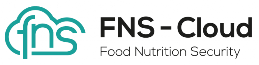 fns cloud logo