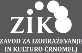 logo zik footer new